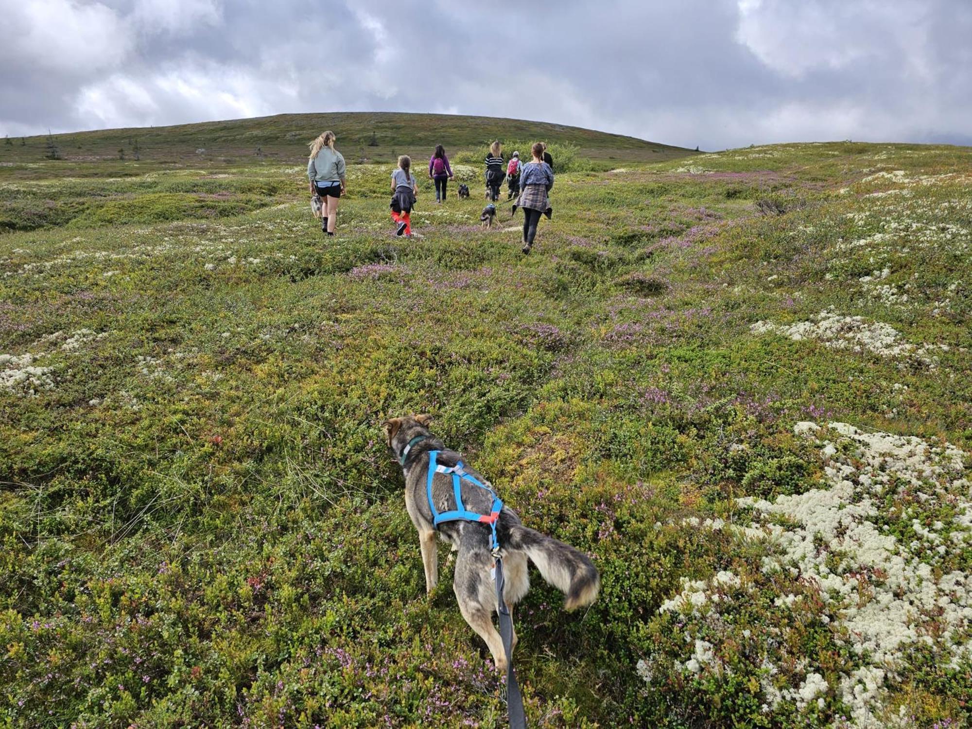 Fregn Ljørdal